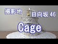 撮影地 日向坂46「Cage」