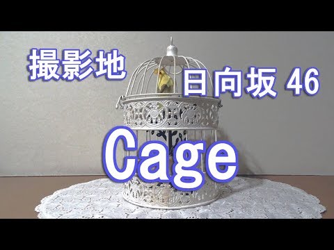 撮影地 日向坂46「Cage」