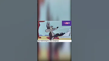 Road Runner Vs Coyote The Solid Tin Coyote Shorts Cartoon 