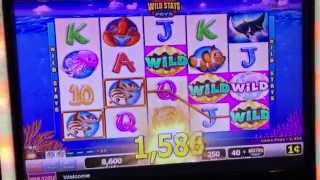 Spielo Mystical Manta Slot: Line Hit