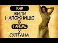 Как жили наложницы в гареме у султана