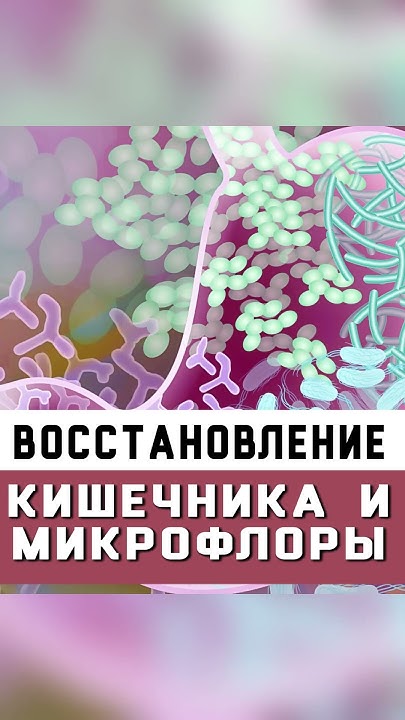 Как восстановить кишечник и микрофлору #похудение #здоровье # ...