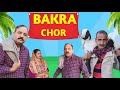 Bakra chor  time to moj  dogri comedy 