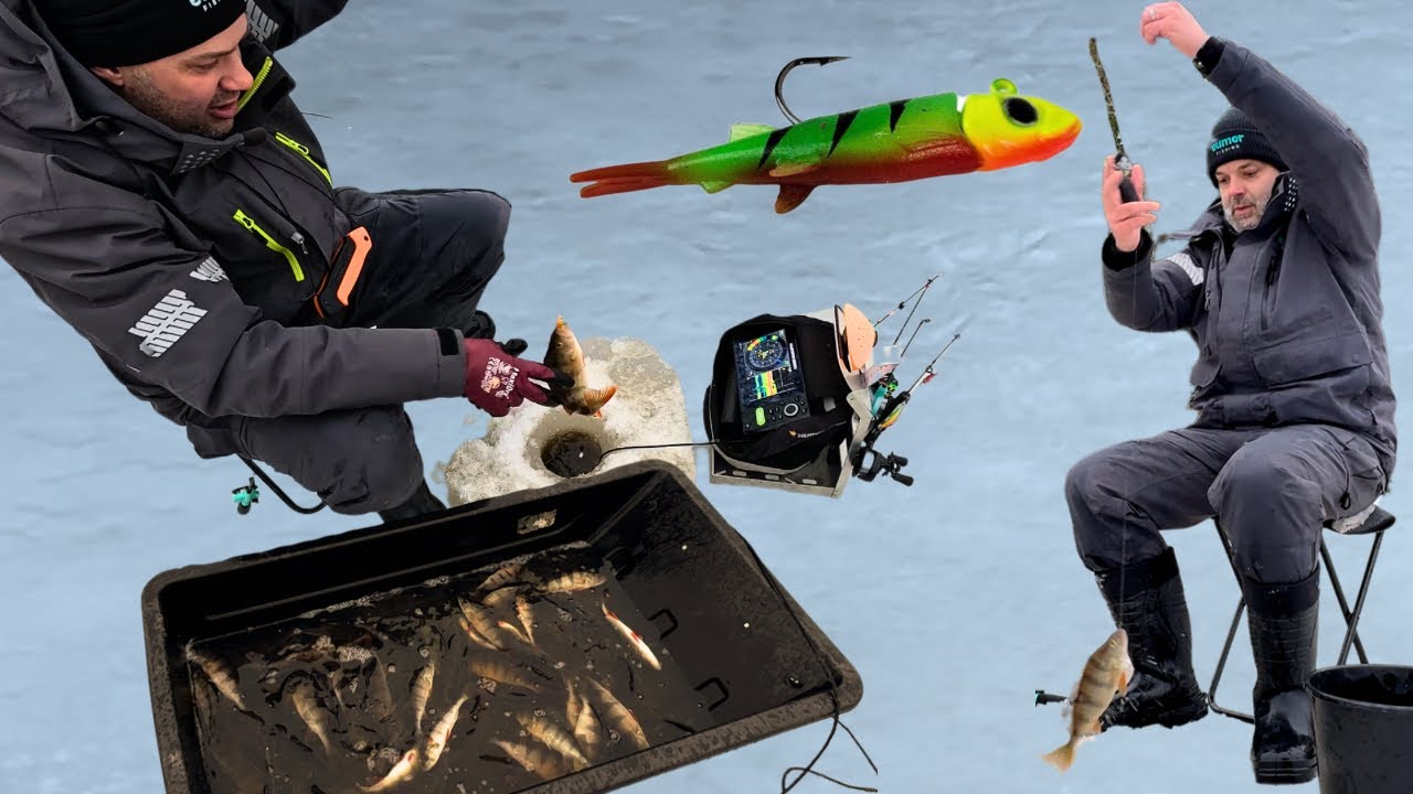 Ahvenet Sekosivat - Testissä 3 cm pikku Puru - Pilkkijigi maistui ahvenelle - Ahvenen pilkintä