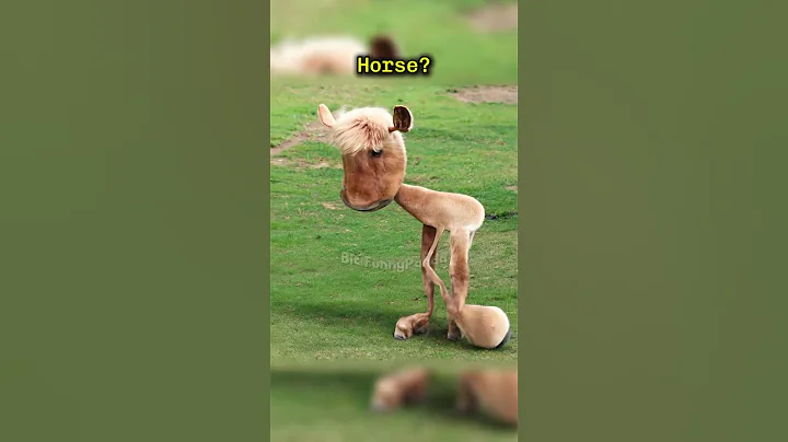 If Kids Animal Drawings Were Real Part 15 thumbnail