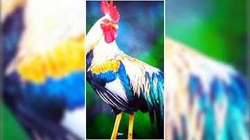 মুরগীর দাম ৩০০ তে 🐓🐸 || BANGLA XML FILE 🌈💸 || NEW TREND XML👀👍 || PRESETS BY @arbideditz5427 🔱