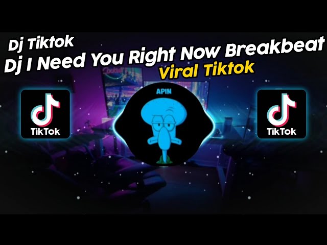 DJ I NEED YOU RIGHT NOW BREAKBEAT VIRAL TIK TOK TERBARU 2024!! class=