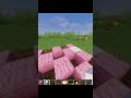 picnic ideas design in minecraft
