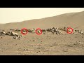 Mars Perseverance Rover&#39;s Latest Images 2022 LIVE