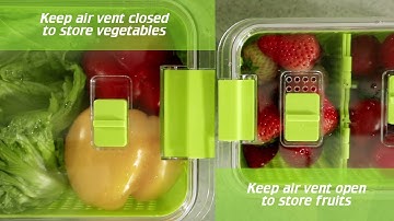 Luxear Fresh Container
