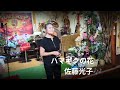 ハマギクの花🌸(大沢桃子)cover佐藤光子🎶