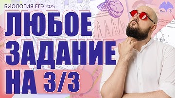 Как РЕШИТЬ ЛЮБОЕ ЗАДАНИЕ НА 3/3