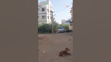 ढलाई रोड पर कार्नर का जमीन | plot in patna | #plot #shorts #shortvideo #youtubeshorts #viral #short