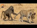 Savanna's Deadliest Predators 🐾 | Wild Animals Full Episode