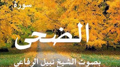 093  سورة الضحى الشيخ نبيل الرفاعي
