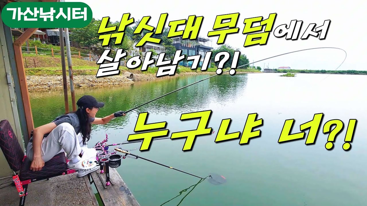 국내 원탑 붕어손맛! 낚싯대 부러지지 않게 끄집어 내기 가 미션?!! - 2025년 6월13일 가산낚시터-