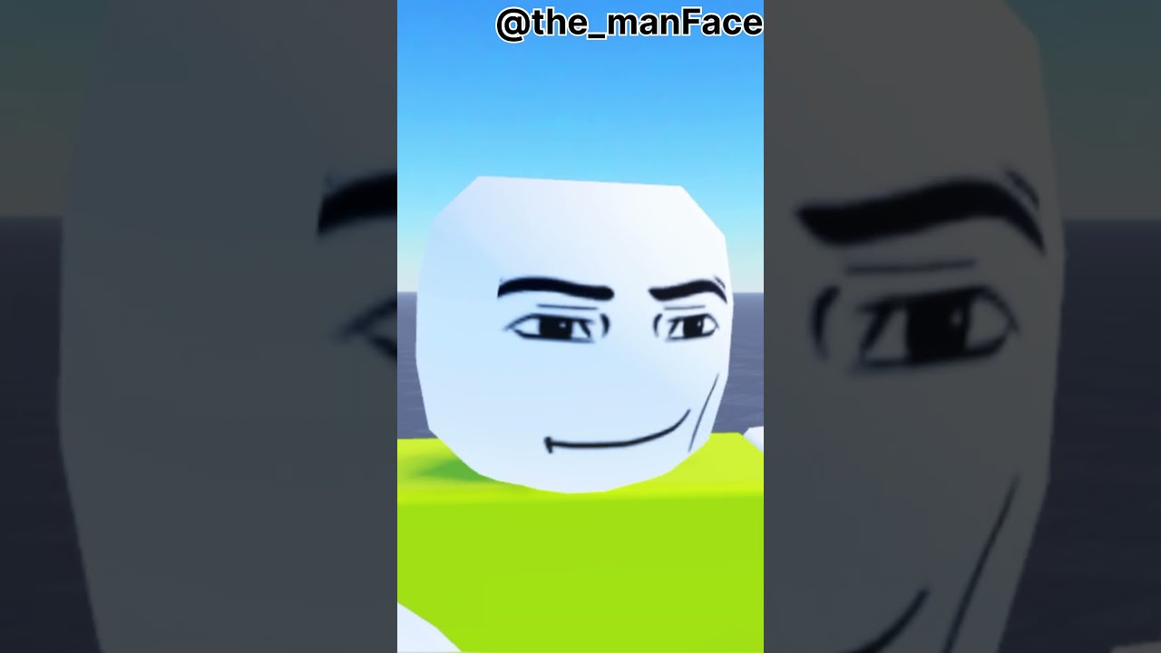 I Mean Look At Your Face Roblox Animation