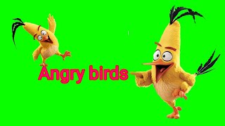 Animations Angry birds green screen