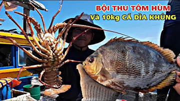 Tập 23 - nghề lưới ba lớp dính đa hệ của ngư dân