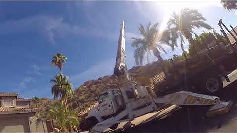 Cool Video Palm Tree Removal With No Drop Zone. Removed With Super Crane