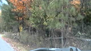 Nancy Today: Driving to Alexandra's house 2 ASMR