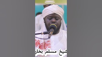 سورة الكهف قراءة وصوت جميل الشيخ مسلم بخاري muslimbukhari #المصحف