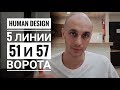 Дизайн Человека 51.5 и 57.5 ворота.  Даниил Трофимов. Human Design