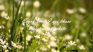 Pat Boone  - Clover In The Meadow