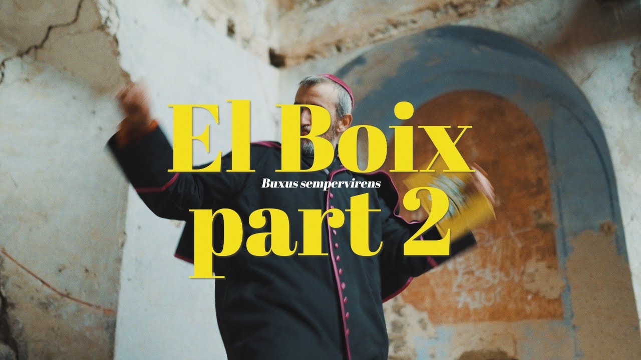 LES COSES QUE CREIXEN. Capítol 40. EL BOIX_SEGONA PART