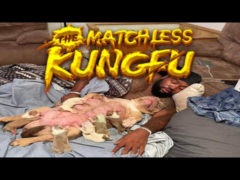 Видео: Обзор на The Matchless Kungfu [SsethTzeentach RUS VO]