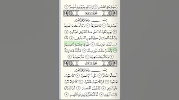 Surat Al-Qari'ah, Hani Ar-Rifa'i, سورة القارعة