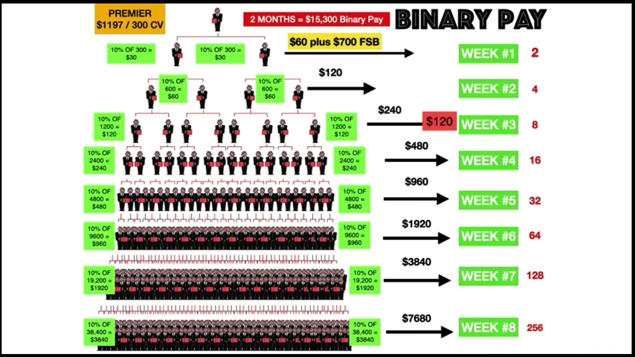 Nvisionu (NVU) compensation plan 5 ways to earn Lynch