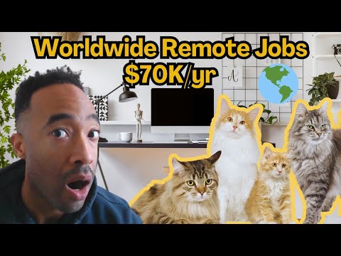 Remote Jobs For Cat Lovers