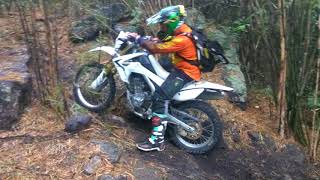 Enduro on wet rocks. Honda CRF 250L