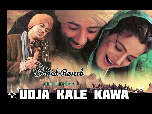 Gadar - Udja Kale Kawa {Slowed + Reverb} Lo-fi Song class=