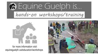 Who is Equine Guelph?