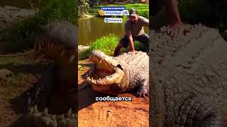 Последнее Фото Тебя Точно Шокирует 🤯 Часть 52 #редкиефото #историческиефото #необычныефото