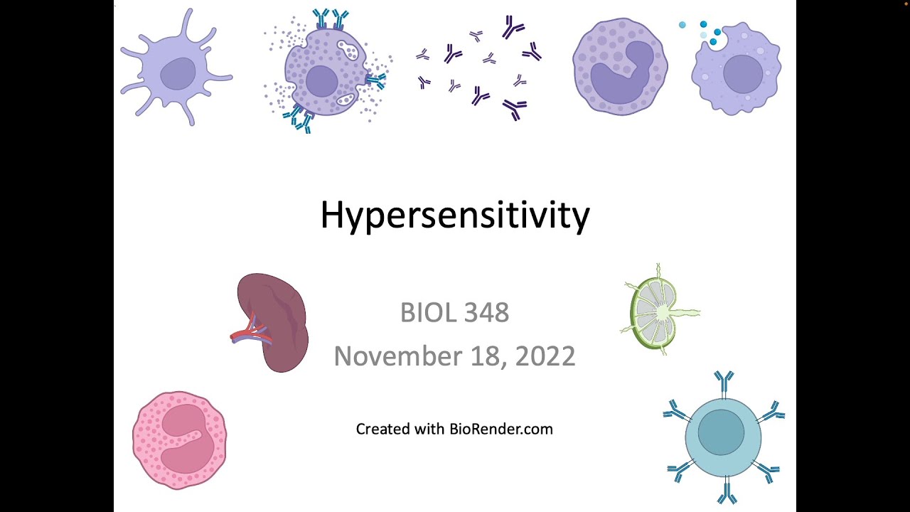 Immunology Fall 2022 Lecture 32 Autoimmunity and Hypersensitivity