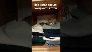 #музыка #красивая_музыка_без_слов #красиваямузыка #релакс_музыка_релакс_видео #шортс #рекомендации