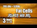 528Hz | 脂肪細胞 頻率 (295.8Hz) + DNA 修復頻率 (528Hz) 頌缽療癒音頻 脈輪淨化 活化副交感神經 舒壓 放鬆