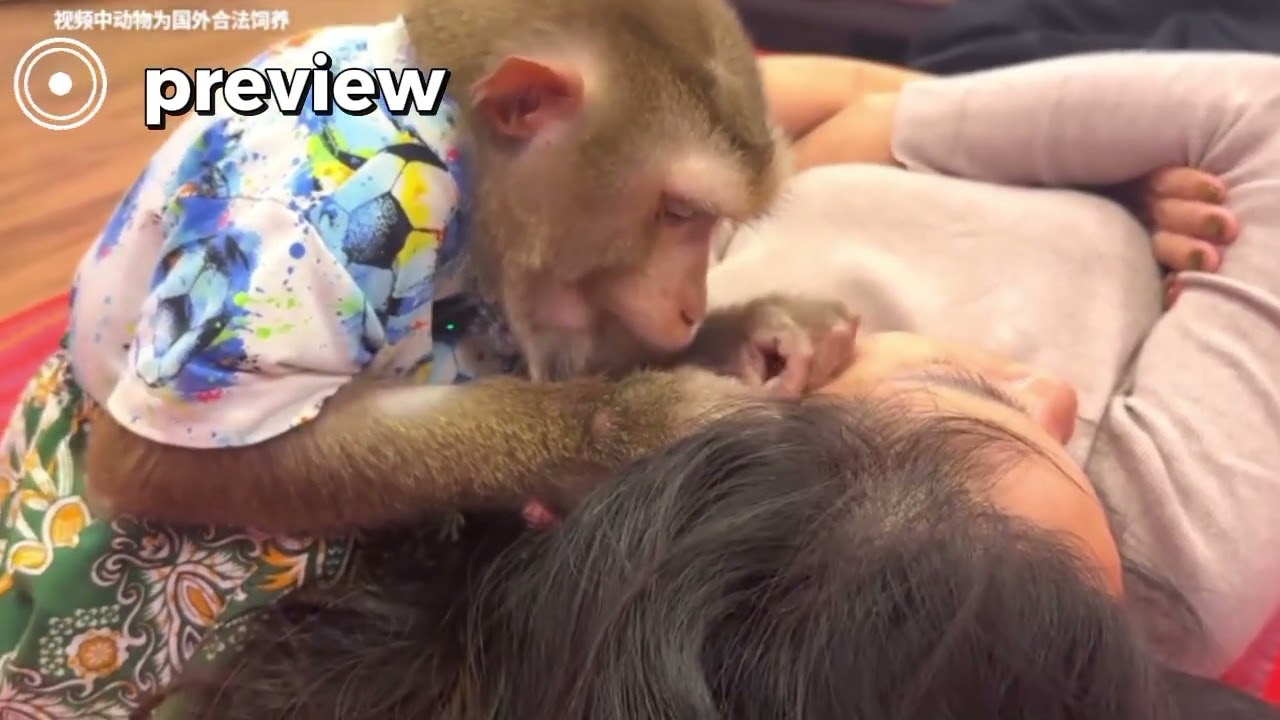 Deep Sleep ASMR 💤 Most Relaxing Head Massage for Insomnia Relief | 1 Hour