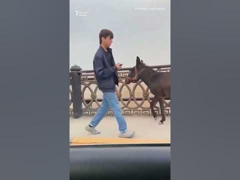 БЕ ШАРҲ - YouTube