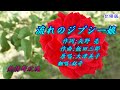流れのジプシー娘(流浪的吉普賽姑娘)1956(日語~大津美子+翻譯)銘哥翻唱[台語版:流浪的吉普賽姑娘(吳晉淮)]