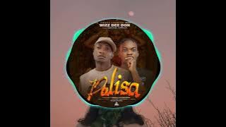 Wizz Dee Don ft Ozone Africa _palisa. prod by (prod by Odies beatz) official audio 