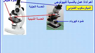 1   النظرية الخلوية