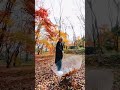 見逃すな、この方法でエモい写真は撮れる！ #shorts