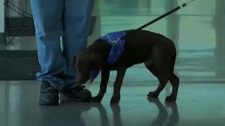 Wagging Wednesday at PetSmart