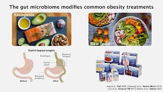 They Are What You Eat - How Food and Drugs Interact with the Gut Microbiome