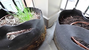 Irrigation de plantes Arduino