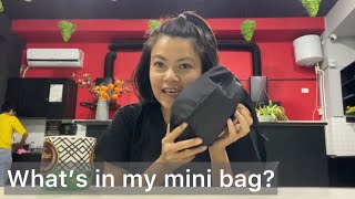 Inside Ei Zu Zans Mini Bag Traveler Edition 15.1.26